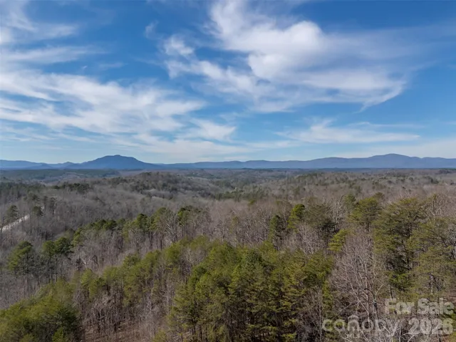 $695,000 | 4006 Polk County Line Road, Rutherfordton, NC 28139