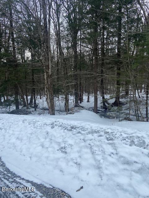 0 Kreutzer Road Hinsdale, MA 01235 - Photo 3 of 5 Frontage 3