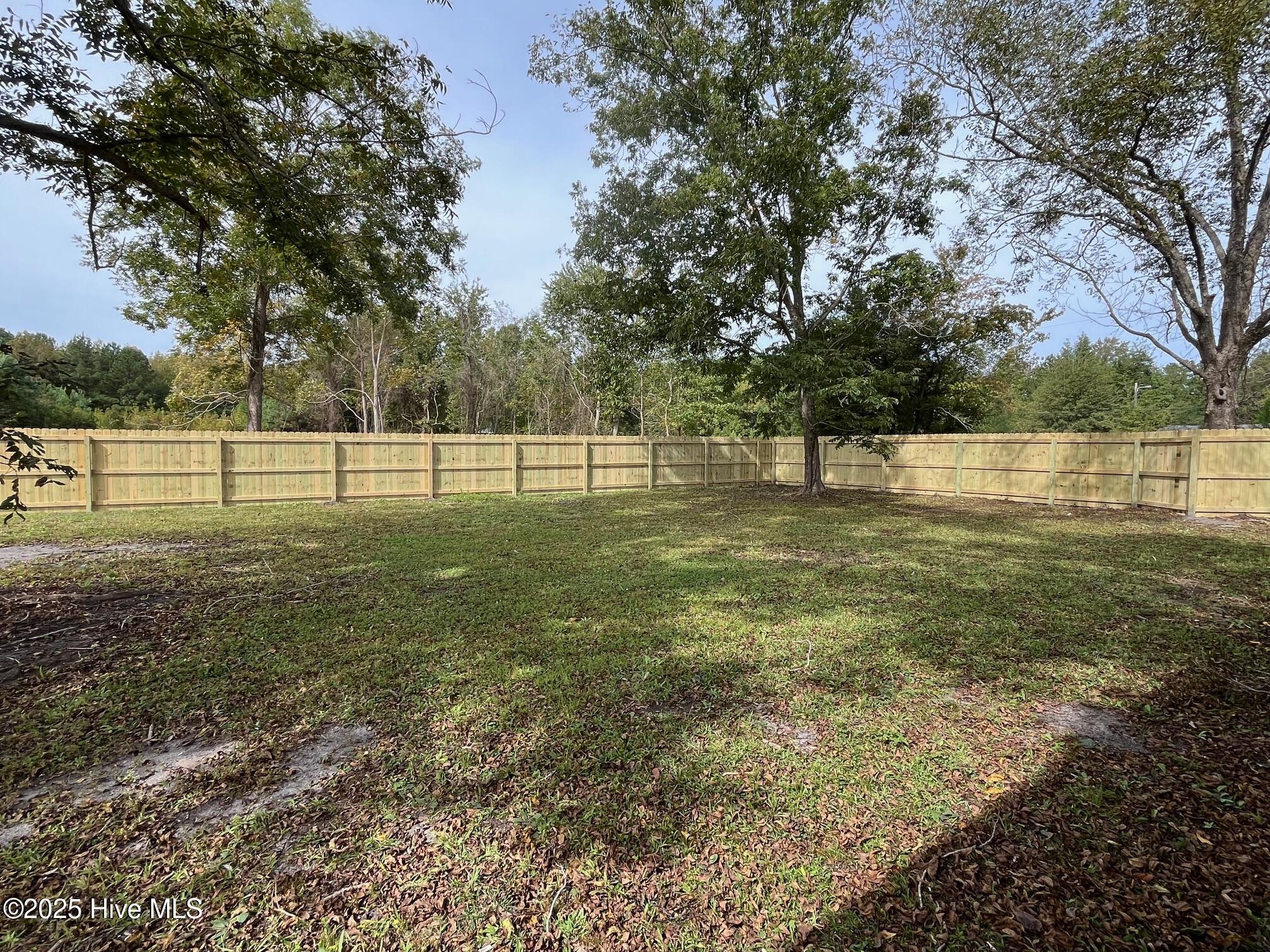 175 Kellumtown Road Hubert, NC 28539 - Photo 22 of 23 Backyard