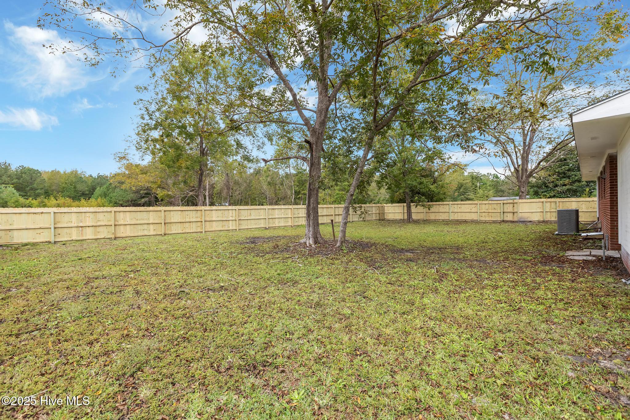 175 Kellumtown Road Hubert, NC 28539 - Photo 23 of 23 Backyard (2)