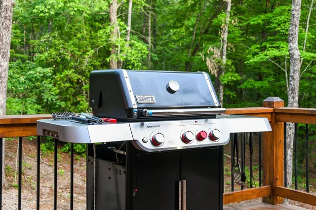 $899,999 | 12 Heritage Drive, Mineral Bluff, GA 30559