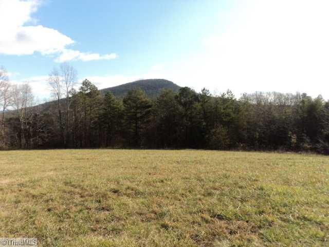 1351 Shoals Road Pinnacle, NC 27043 - Photo 1 of 8 Land. View of Back of Pilot Knob