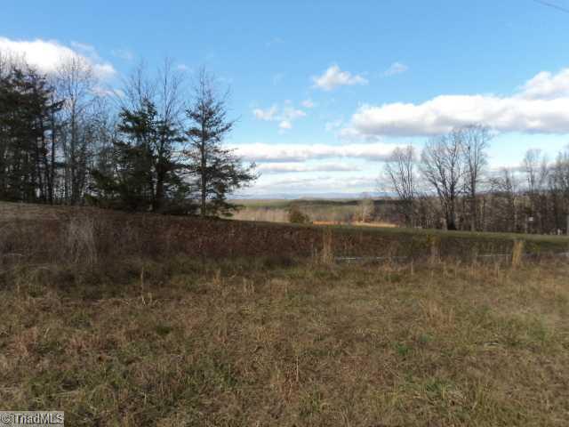 1351 Shoals Road Pinnacle, NC 27043 - Photo 2 of 8 Land. Street View of the Blue Ridge Mtns. in the distance