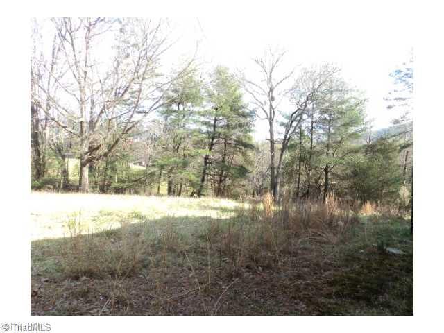 1351 Shoals Road Pinnacle, NC 27043 - Photo 3 of 8 Land. Side view of open field looking back toward the house