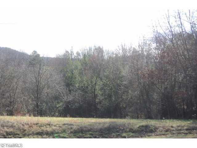 1351 Shoals Road Pinnacle, NC 27043 - Photo 4 of 8 Land/Lot. back view of property