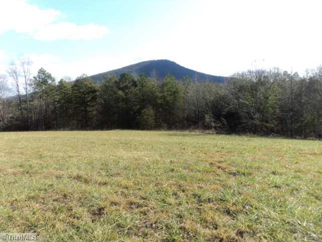1351 Shoals Road Pinnacle, NC 27043 - Photo 5 of 8 Land. open field