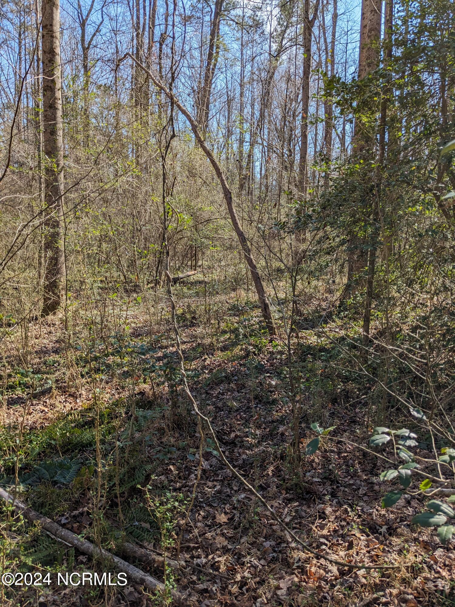 698 Gilchrist Road Cameron, NC 28326 - Photo 28 of 35 PXL_20240215_174229501
