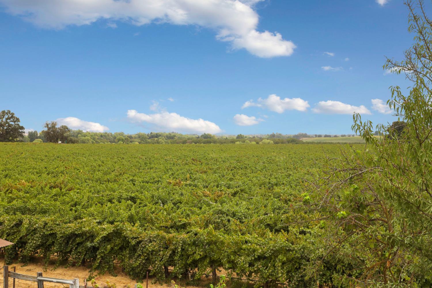 23418 Mackville Road Clements, CA 95227 - Photo 48 of 94