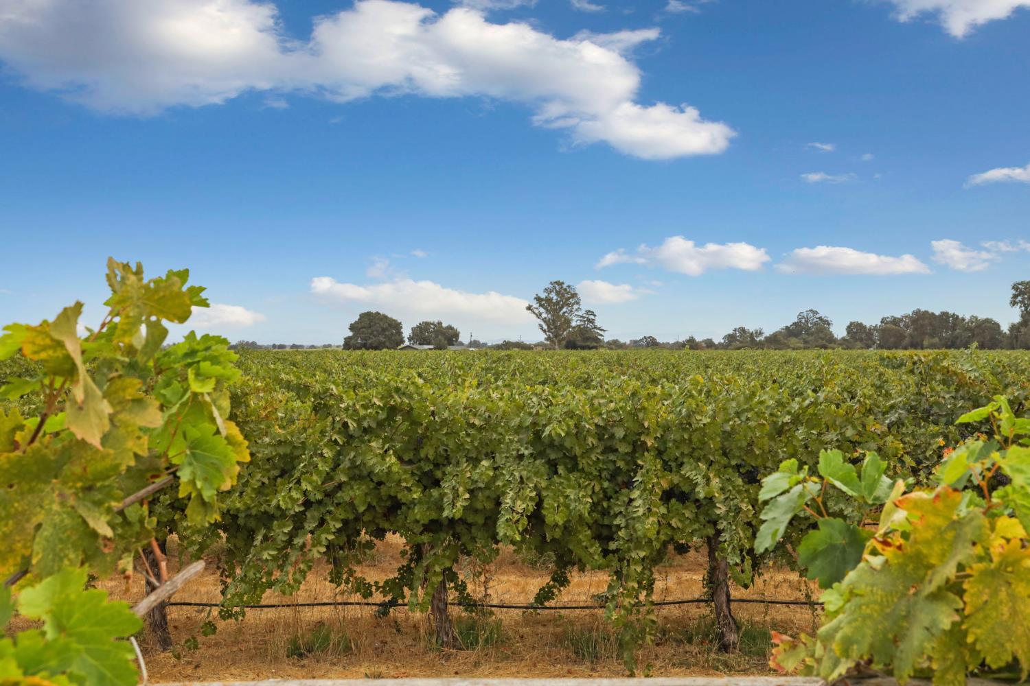 23418 Mackville Road Clements, CA 95227 - Photo 60 of 94