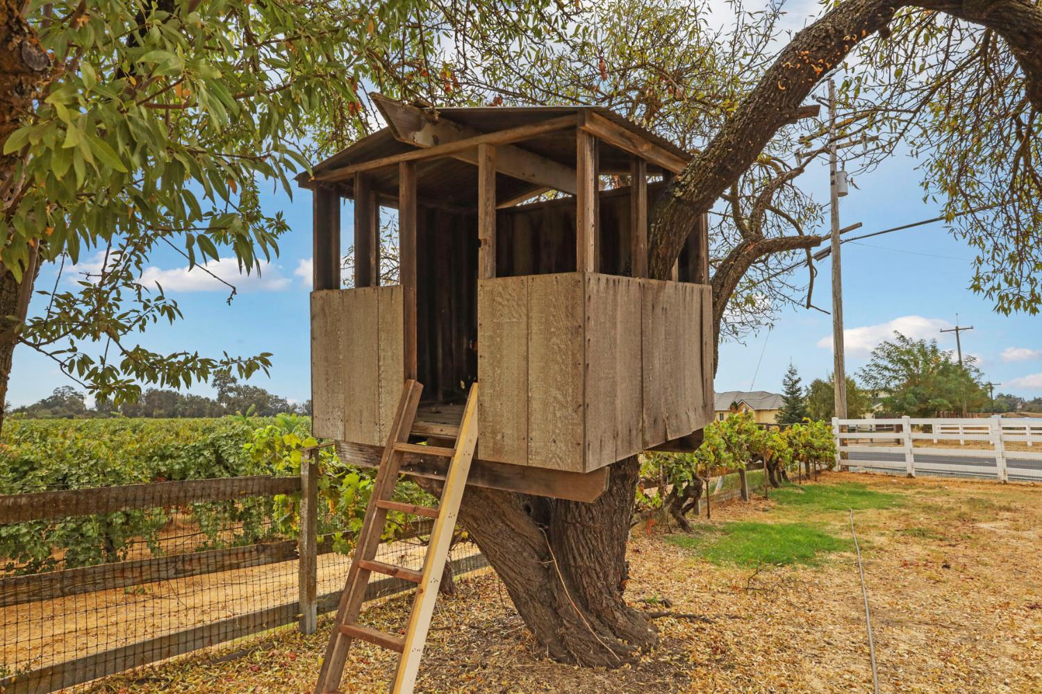 23418 Mackville Road Clements, CA 95227 - Photo 61 of 94