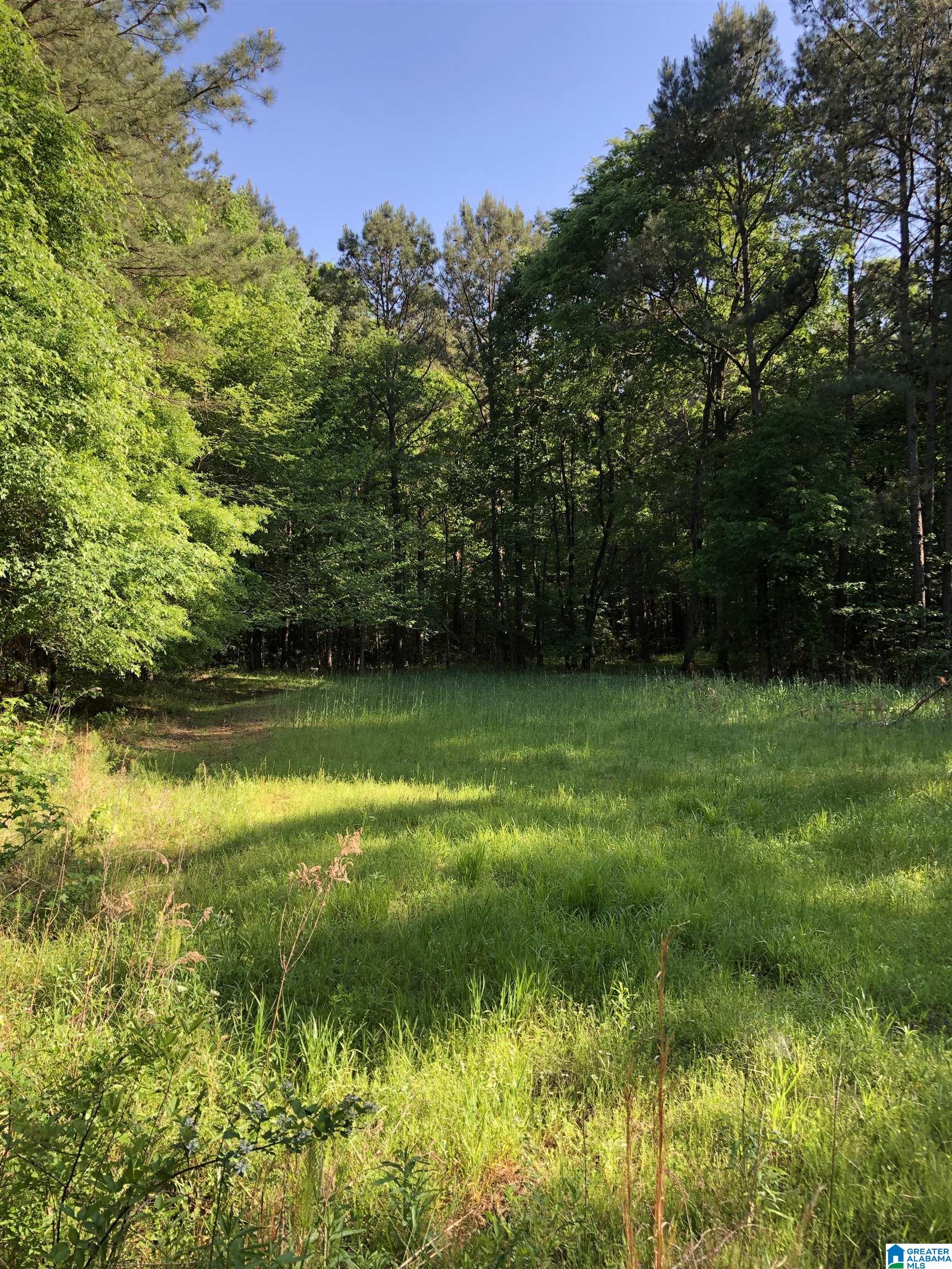 61 Copper Road Columbiana, AL 35051 - Photo 4 of 15