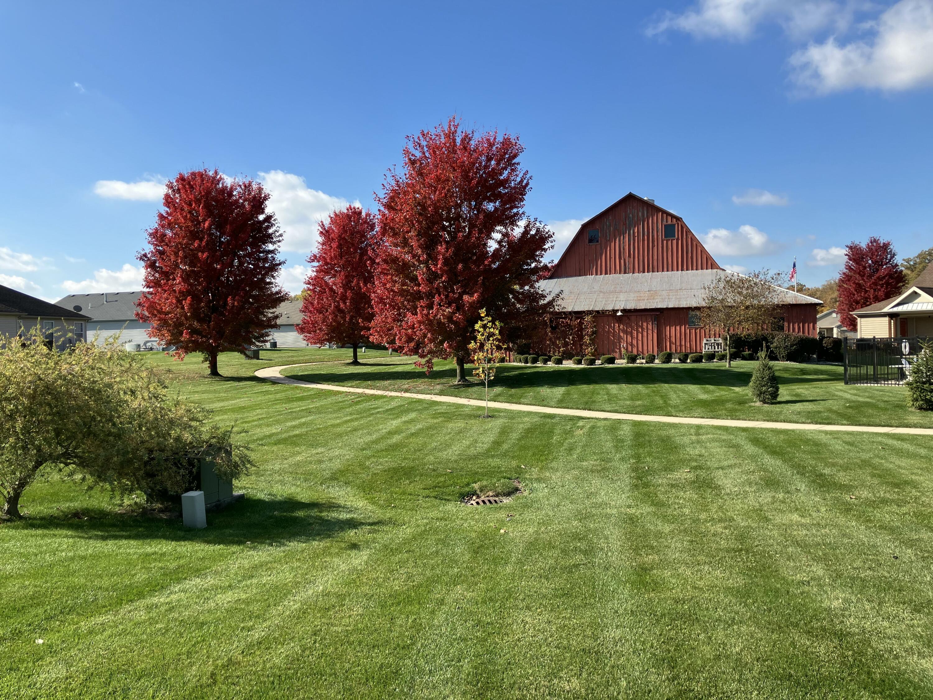 11732 Virginia Court Crown Point, IN 46307 - Photo 19 of 26 a backyard of a house with lots of green space