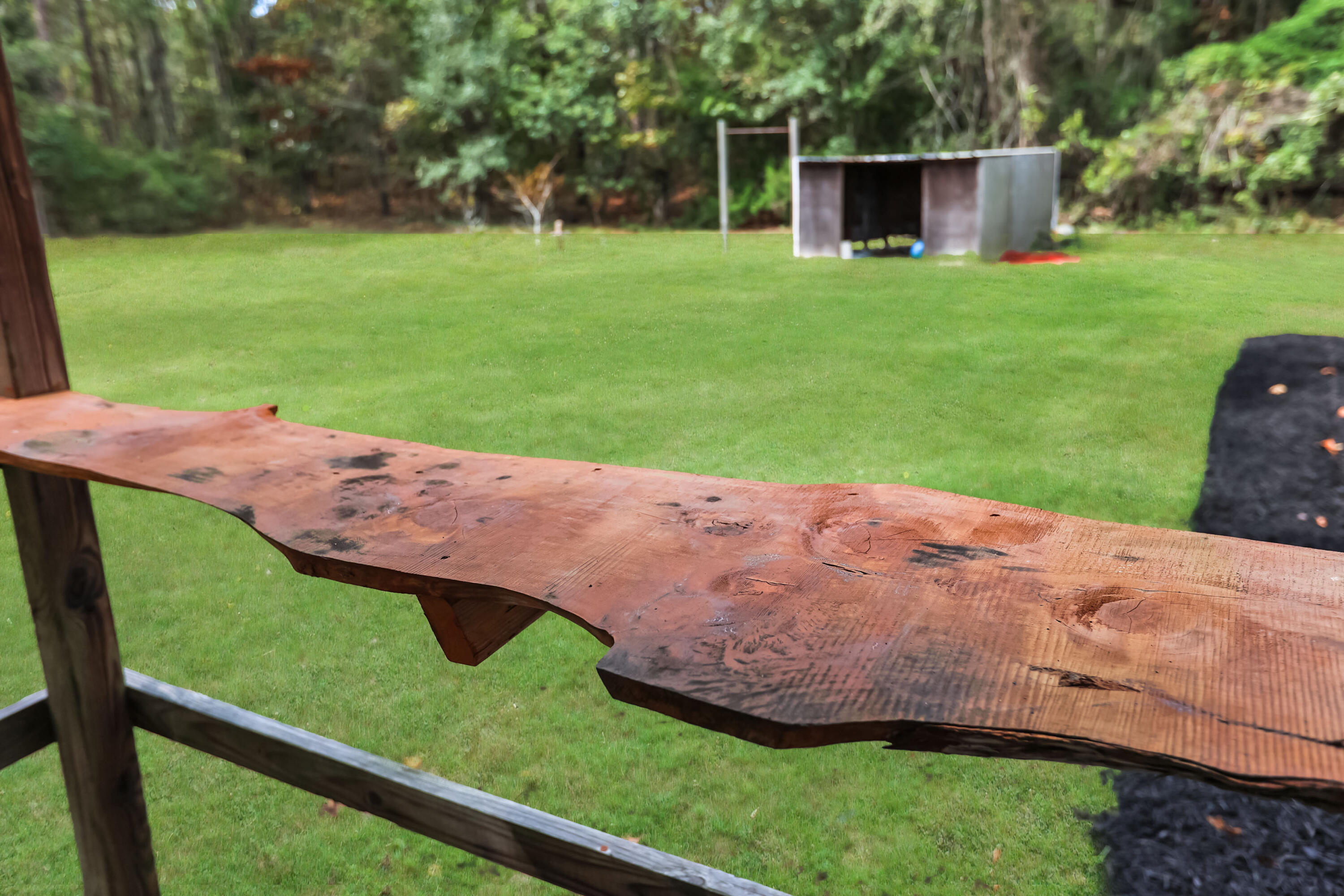 185 Moncks Corner Road Eutawville, SC 29048 - Photo 38 of 50 IMG_8387