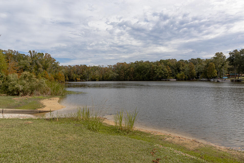 185 Moncks Corner Road Eutawville, SC 29048 - Photo 49 of 50 IMG_4137