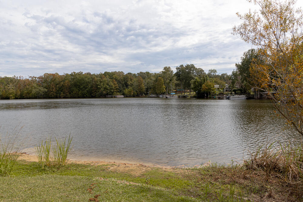 185 Moncks Corner Road Eutawville, SC 29048 - Photo 50 of 50 IMG_4138