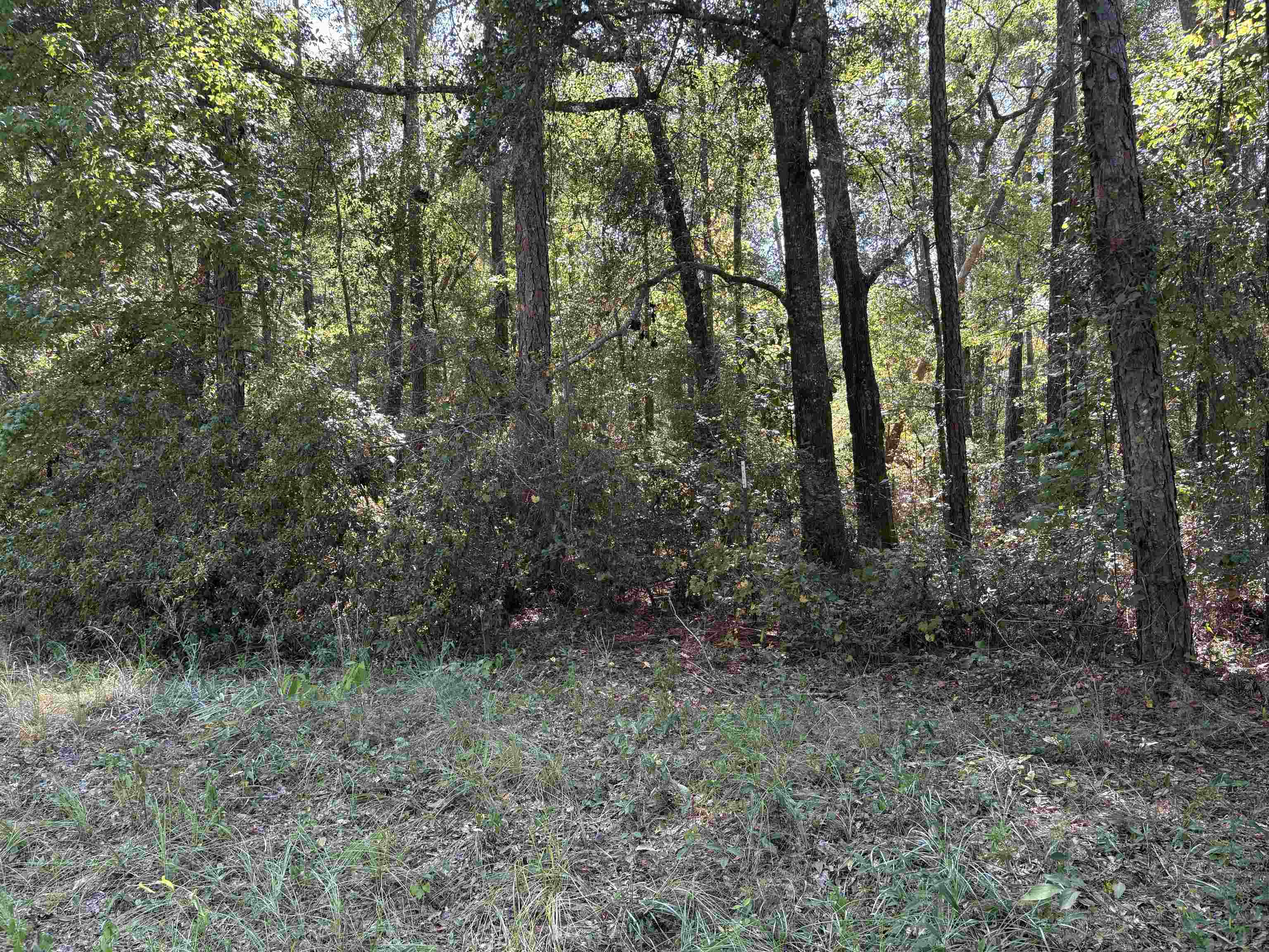 0 Collins Landing Road Tallahassee, FL 32310 - Photo 3 of 6