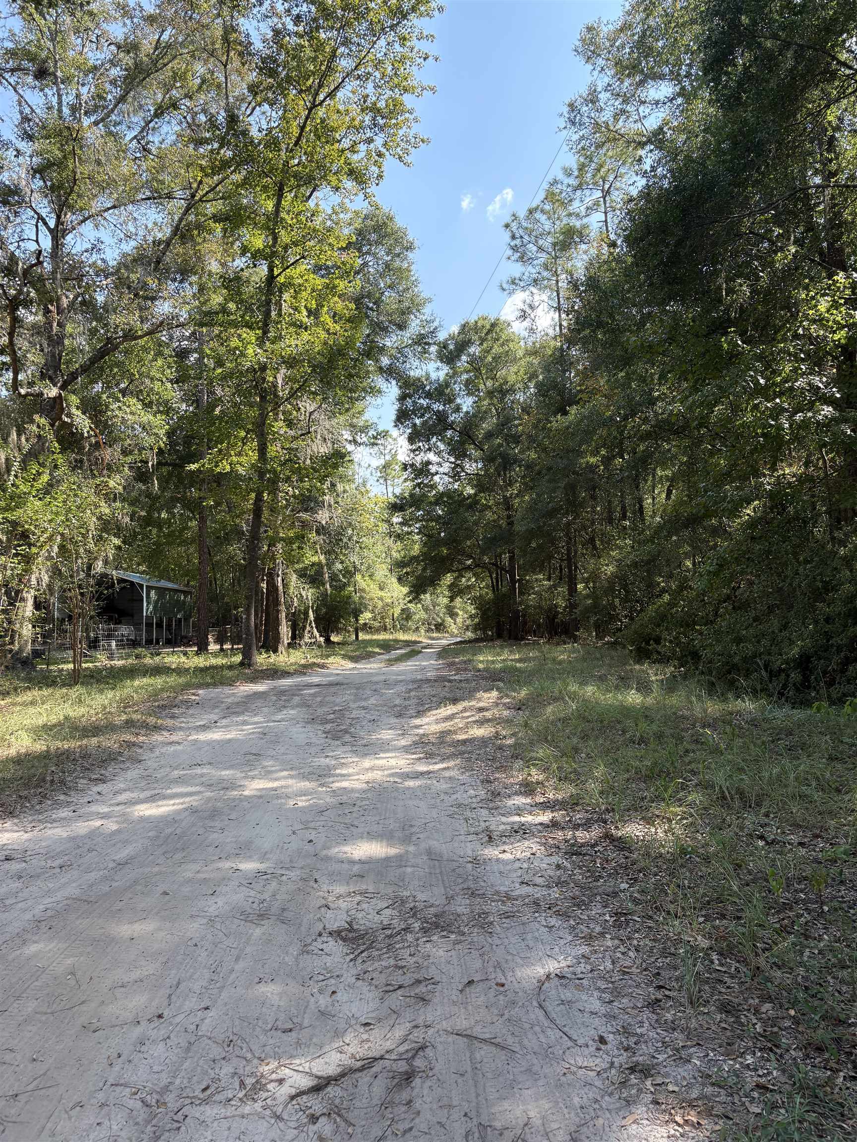 0 Collins Landing Road Tallahassee, FL 32310 - Photo 4 of 6