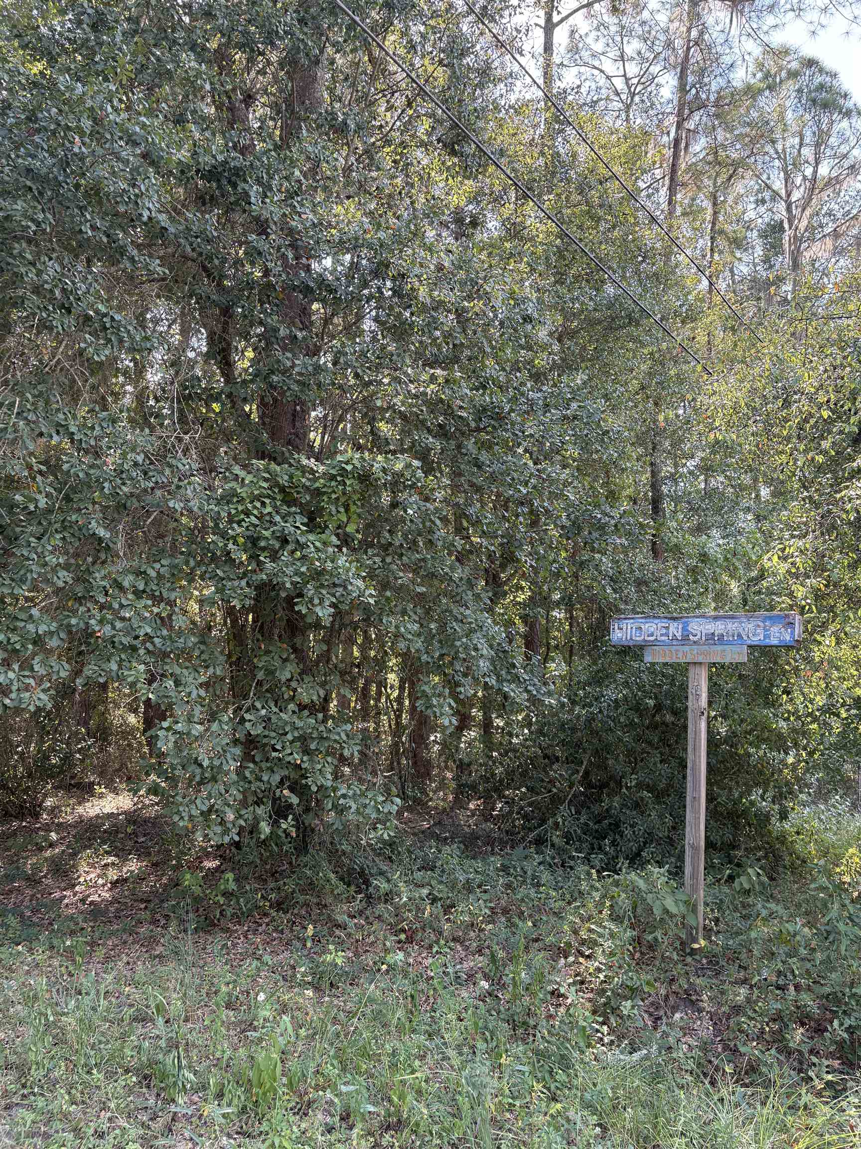 0 Collins Landing Road Tallahassee, FL 32310 - Photo 5 of 6