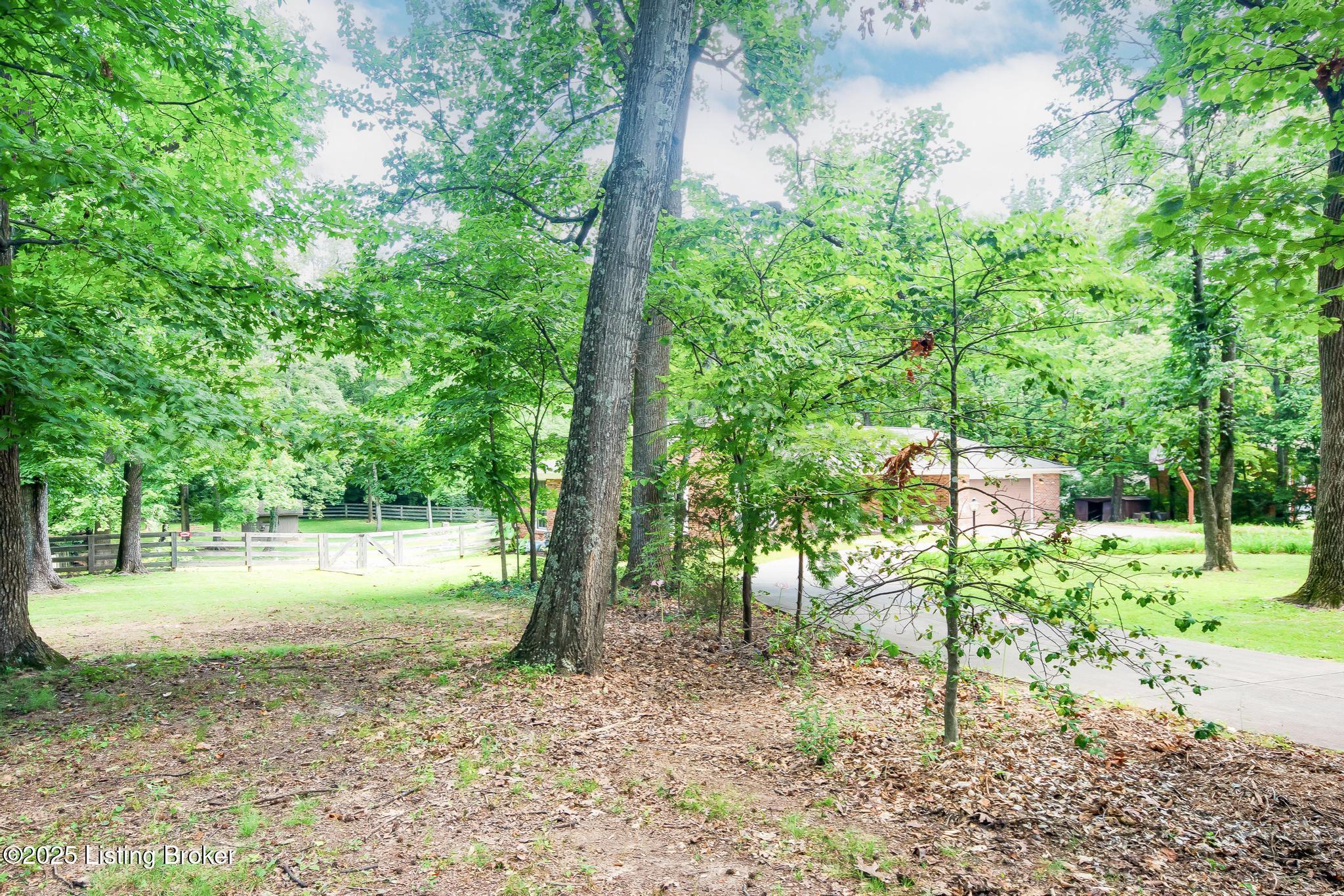 9611 Fairground Road Louisville, KY 40291 - Photo 45 of 57 Side Acreage Outside of Fenced Acreage