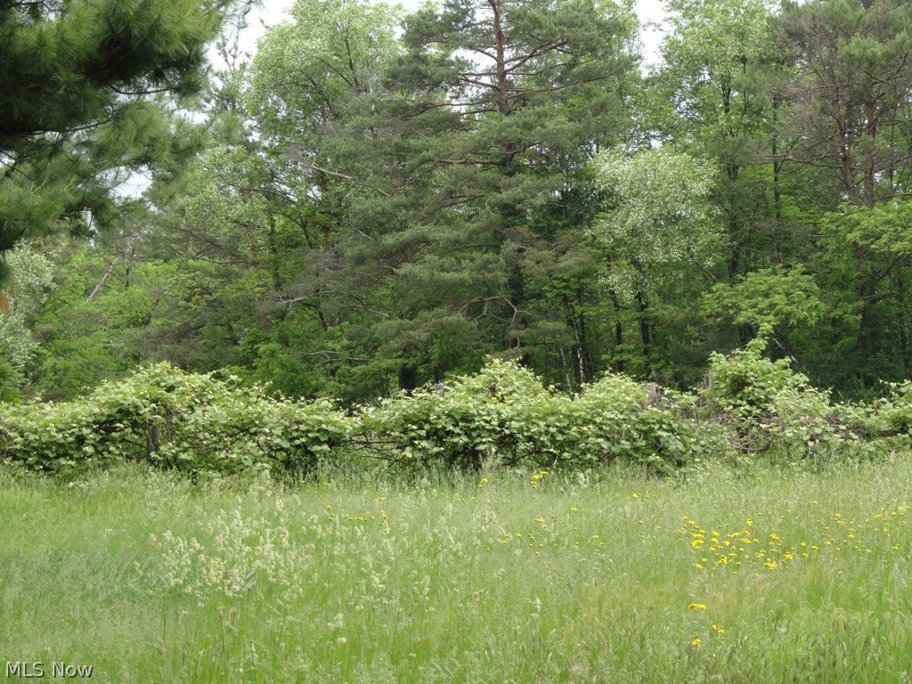 2642 Allison Road Chester, WV 26034 - Photo 21 of 35