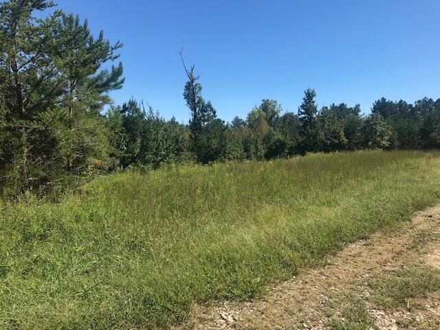 31 Pinhook Road Calhoun, TN 37309 - Photo 8 of 9 31 tree line