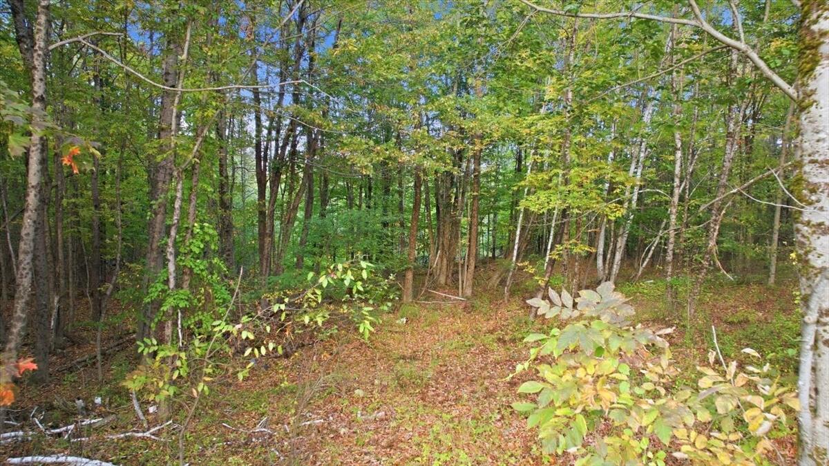 831 Litchfield Road Bowdoin, ME 04287 - Photo 42 of 47 09-DJI_20260921182632_0689_D - Copy