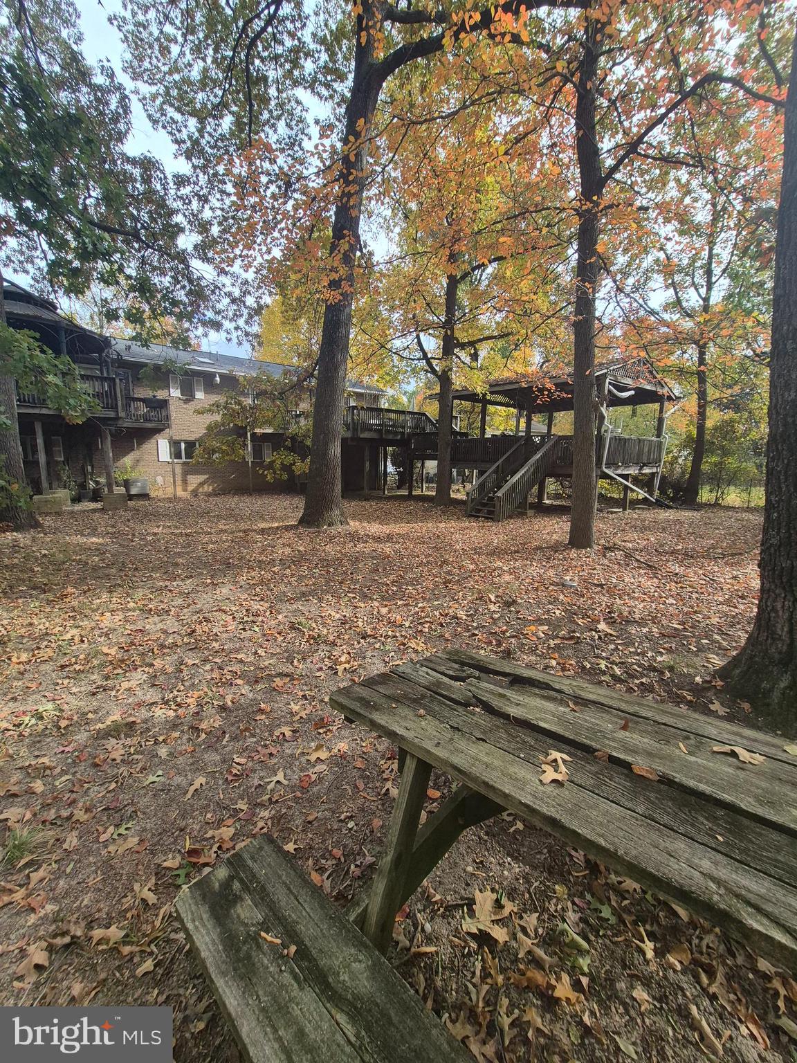 7811 Heflin Drive Clinton, MD 20735 - Photo 13 of 16 a view of a yard with trees