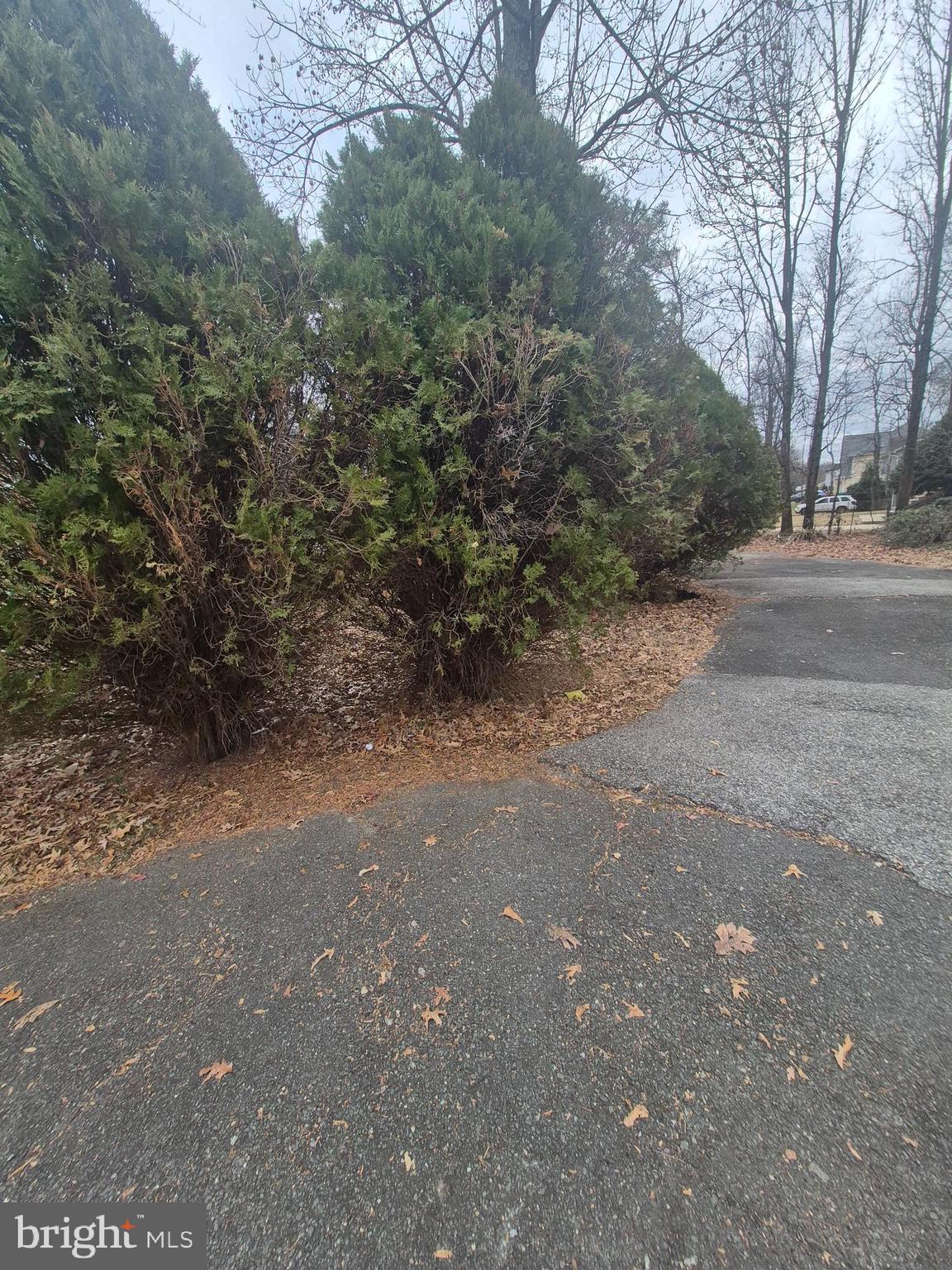 7811 Heflin Drive Clinton, MD 20735 - Photo 3 of 16 a view of road with side of green space