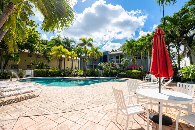a view of a yard with palm trees
