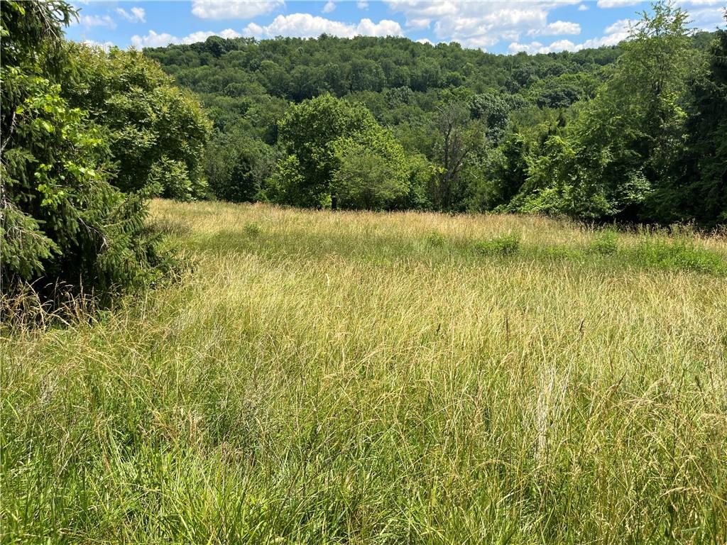 0 Calhoun Road Elizabeth, PA 15037 - Photo 6 of 12