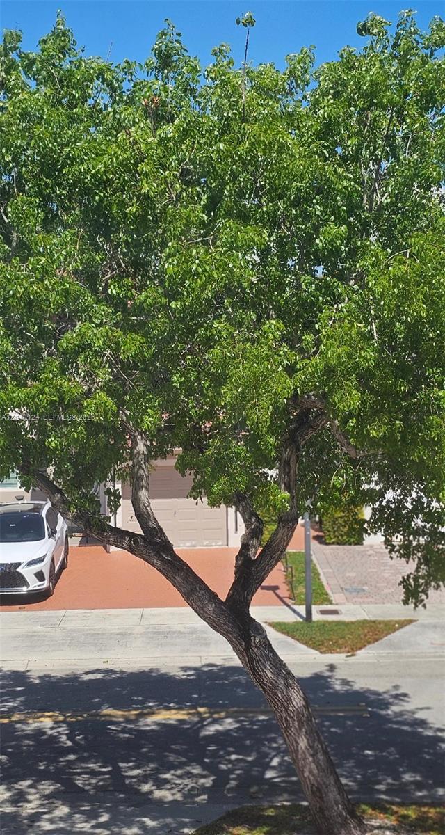 2410 Southwest 153rd Pass Miami, FL 33185 - Photo 17 of 21