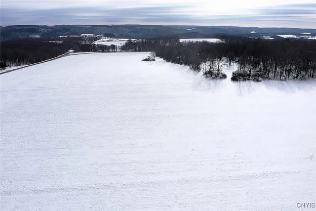 $344,900 | 1433 Forsythe Road, Independence, NY 14895