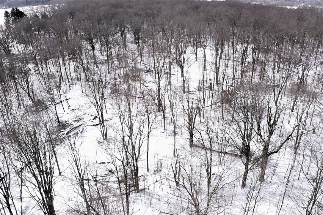 1433 Forsythe Road Independence, NY 14895 - Photo 43 of 45