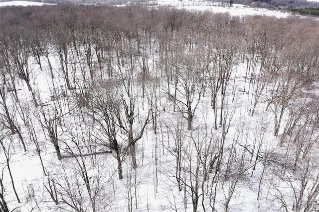 $344,900 | 1433 Forsythe Road, Independence, NY 14895