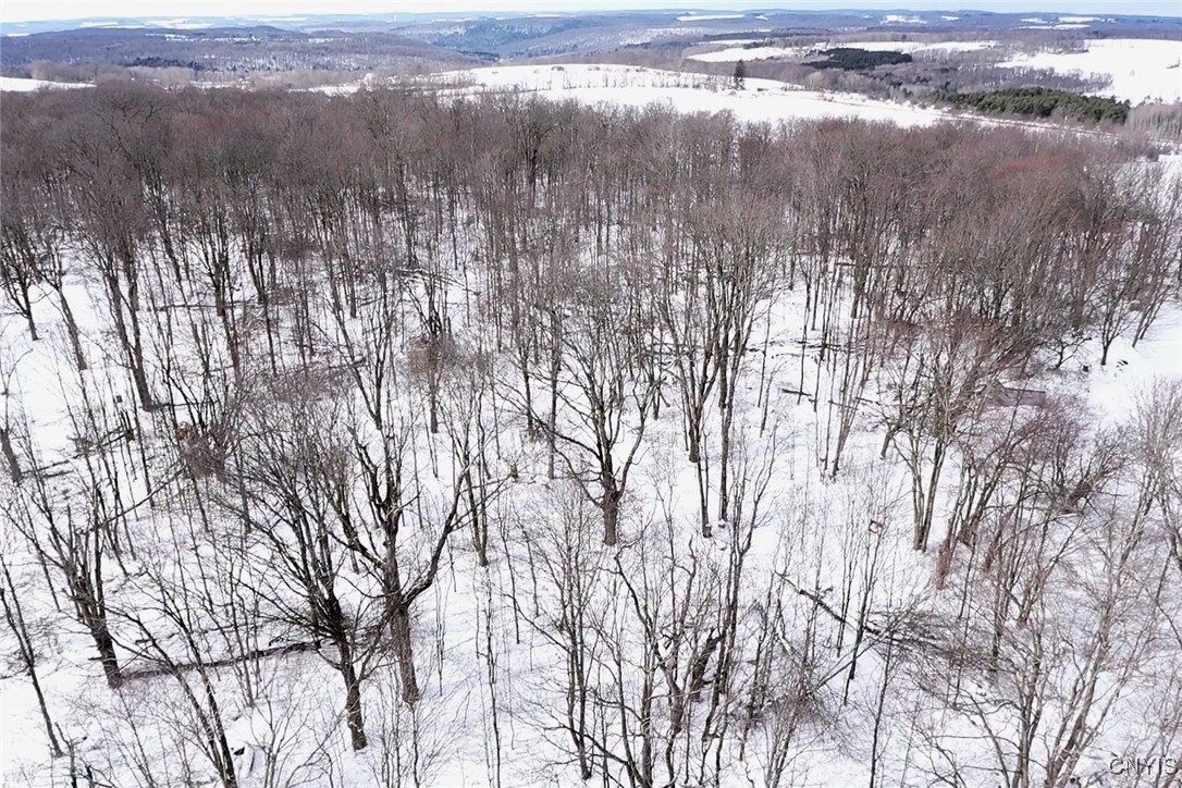 1433 Forsythe Road Independence, NY 14895 - Photo 45 of 45