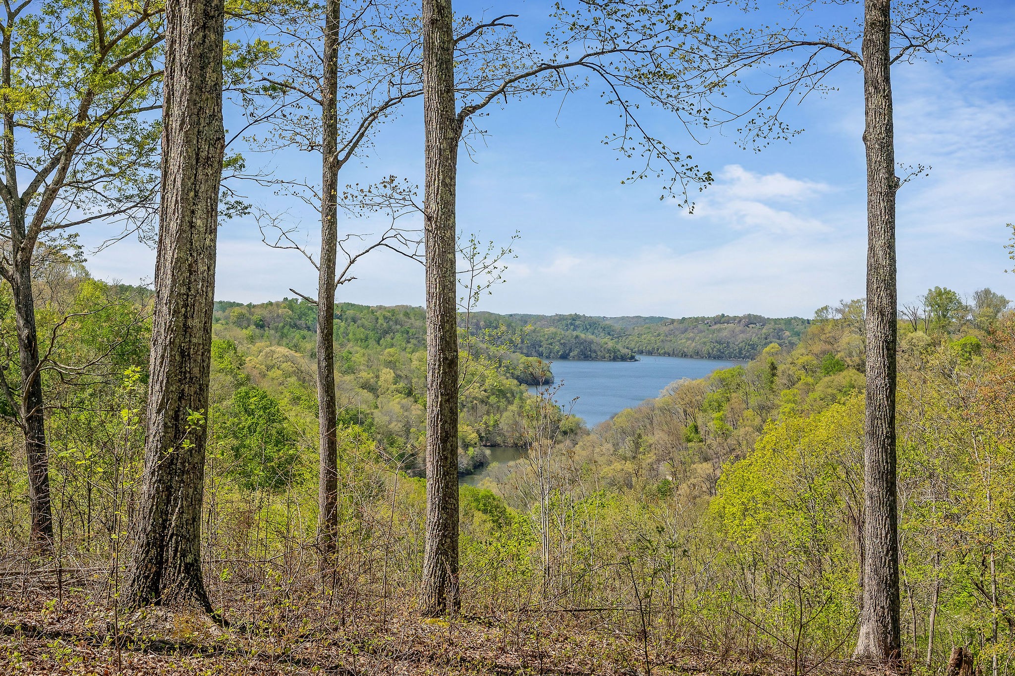 a view of a lake view