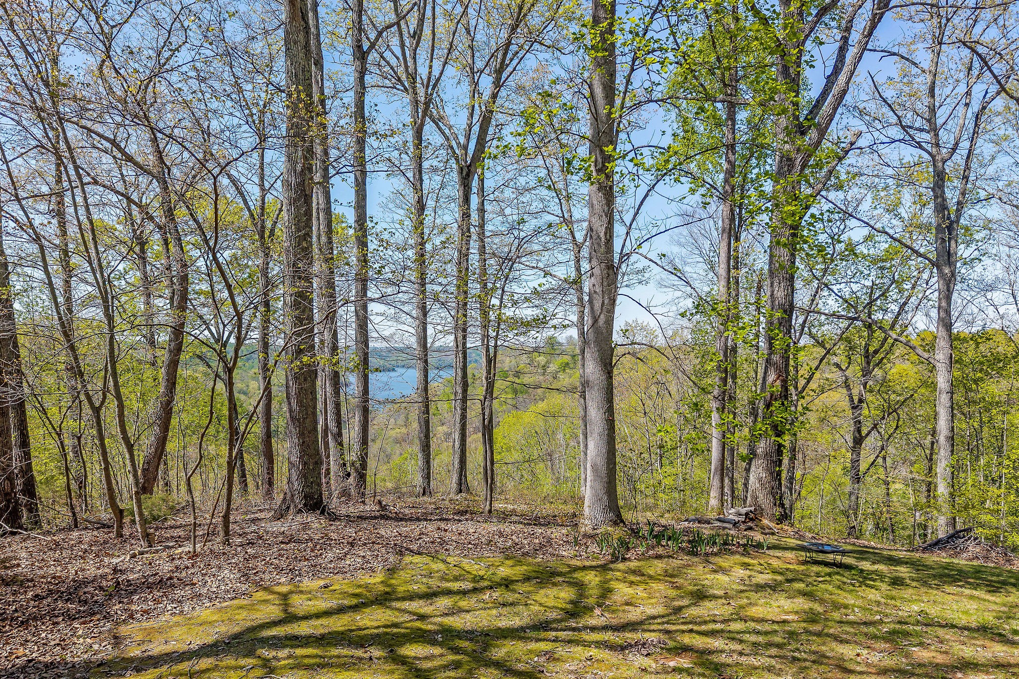 27 Poplar Point Road Sparta, TN 38583 - Photo 3 of 6 a view of a backyard with trees