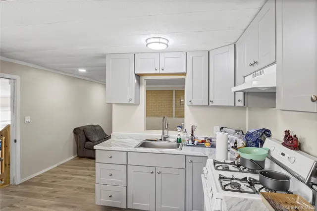 a kitchen with a sink cabinets and wooden floor