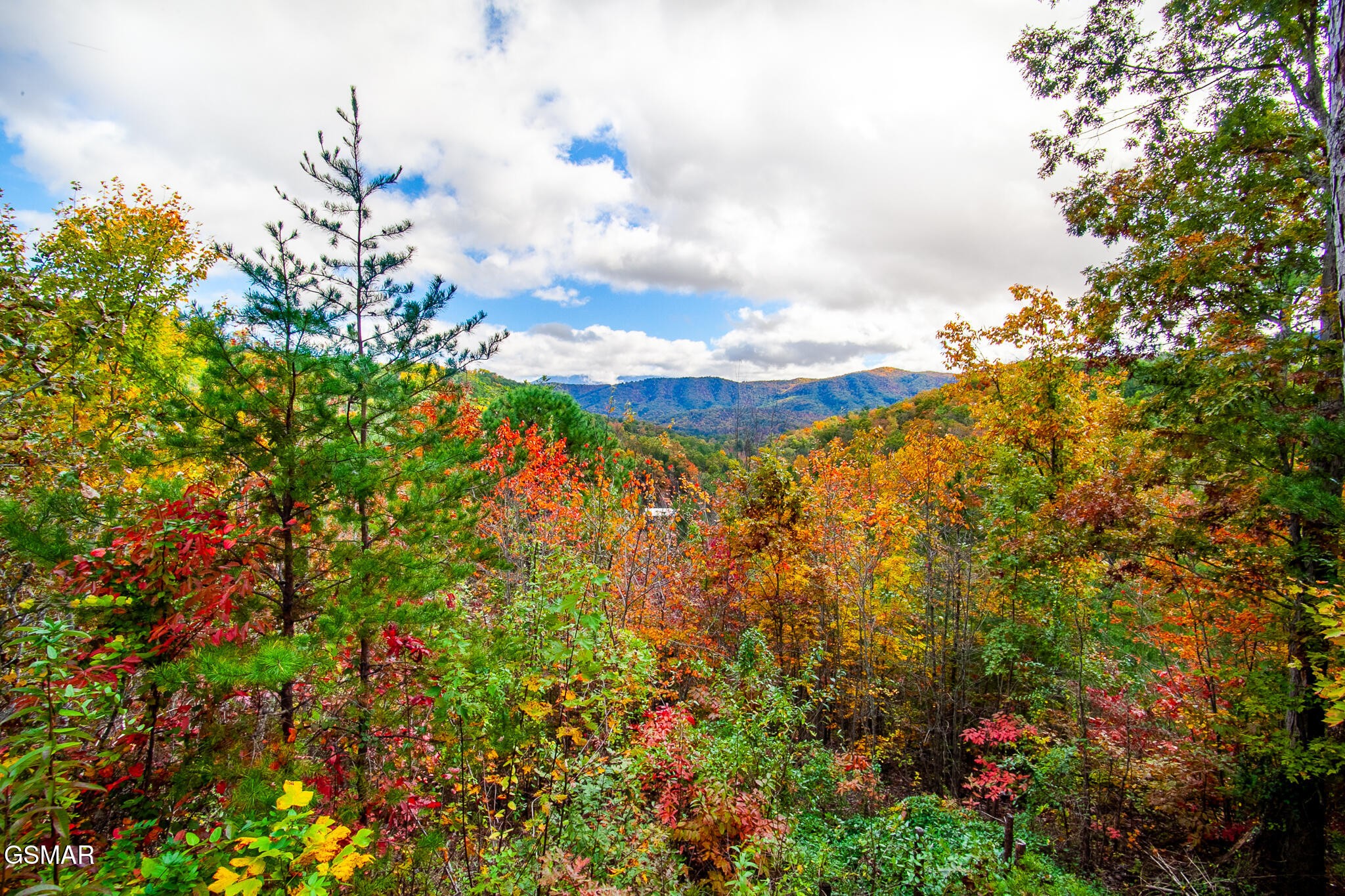 1410 Little Cove Church Road Sevierville, TN 37862 - Photo 18 of 18 Gallery Image 18