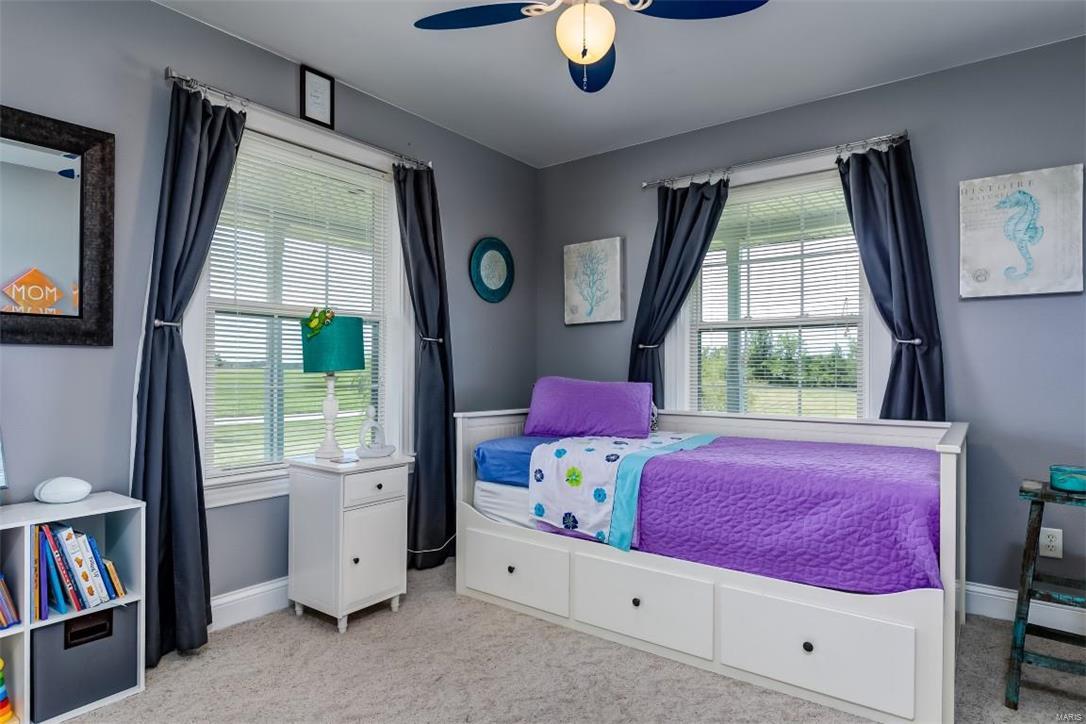 6527 Crook Road Waterloo, IL 62298 - Photo 27 of 43