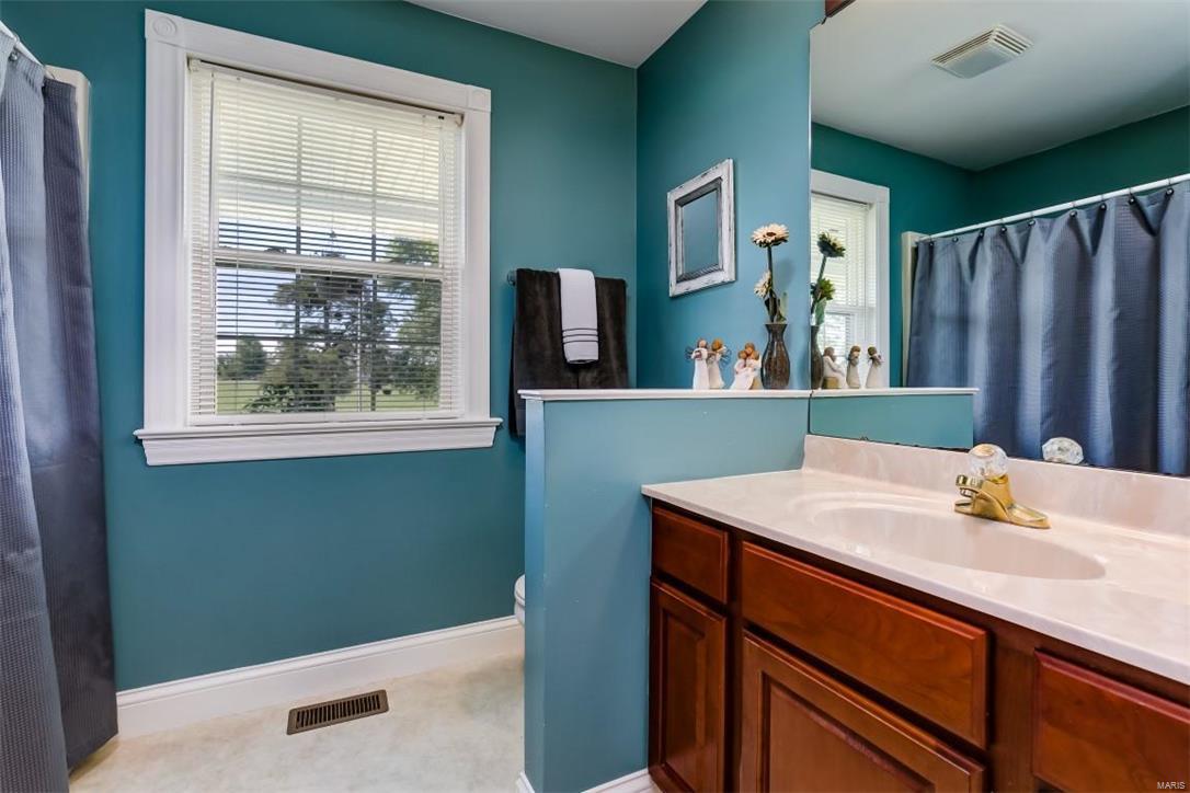 6527 Crook Road Waterloo, IL 62298 - Photo 29 of 43
