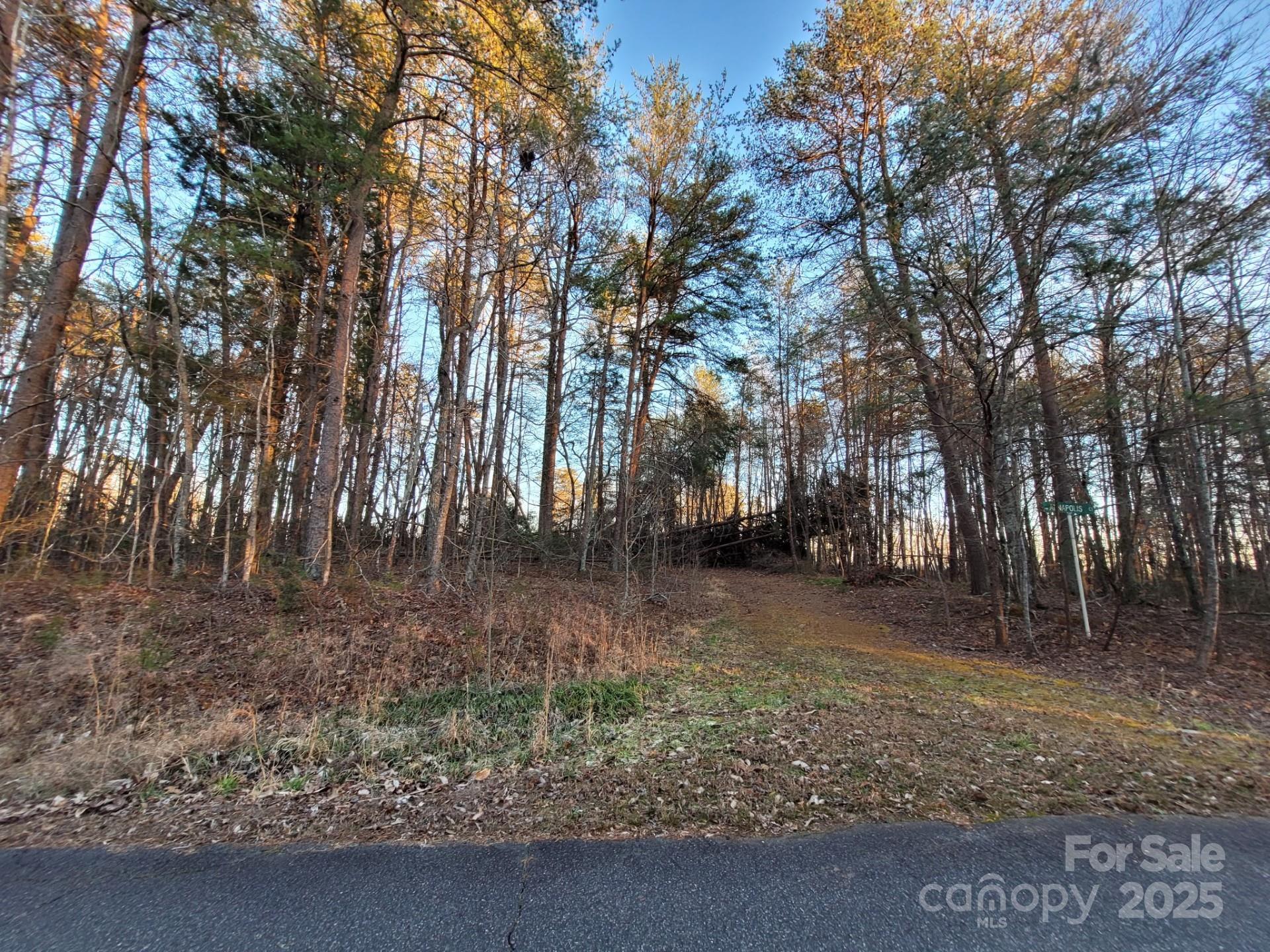 0 Washburn Lane Rutherfordton, NC 28139 - Photo 3 of 45