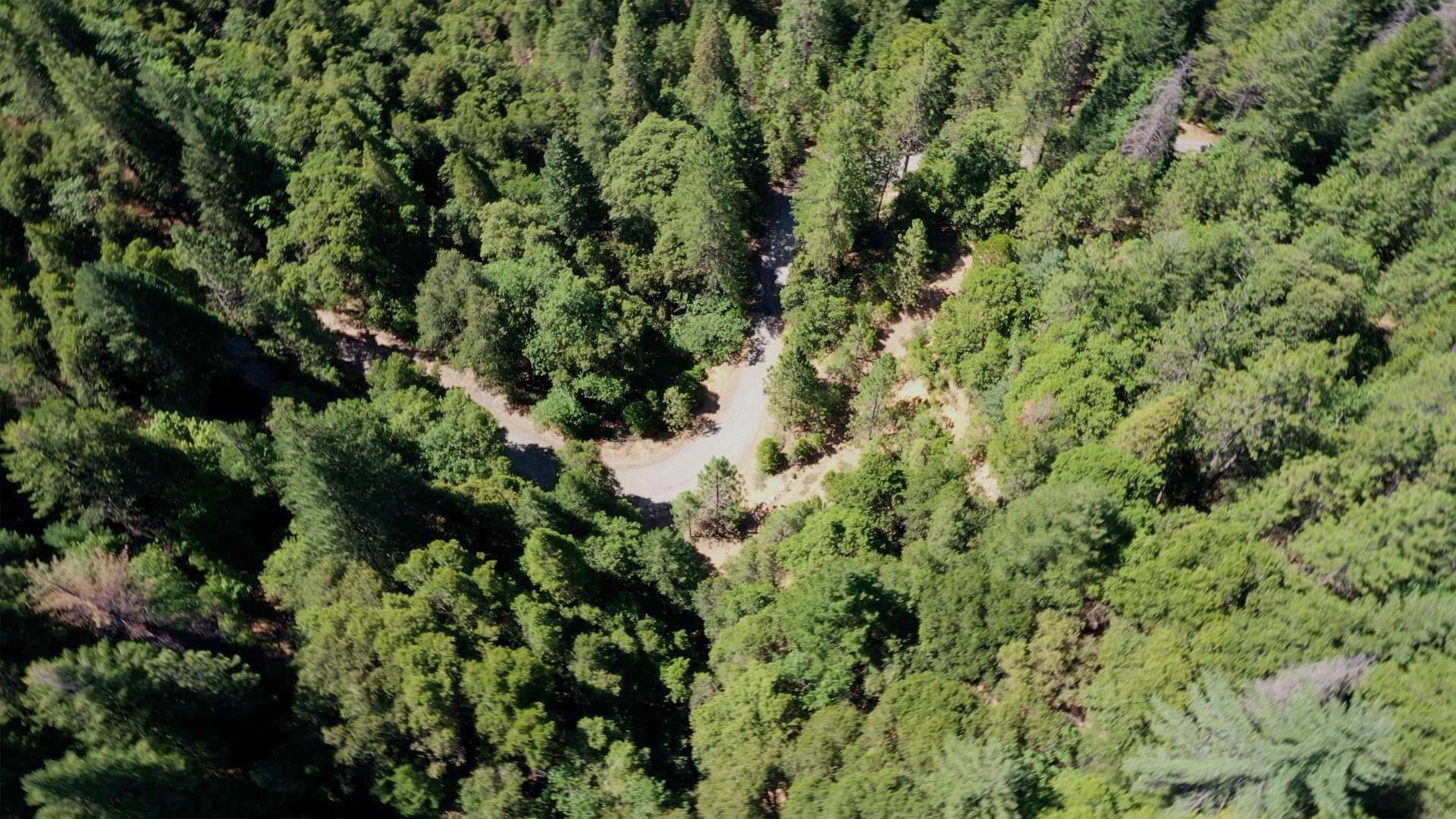 Girard Ridge Castella, CA 96017 - Photo 1 of 13 Gallery Image 1