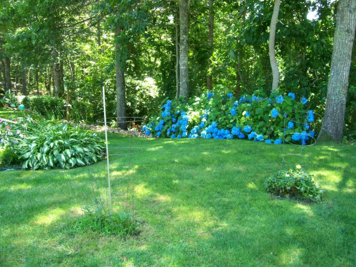 36 Island Street East Dennis, MA 02660 - Photo 38 of 41 a view of yard with green space