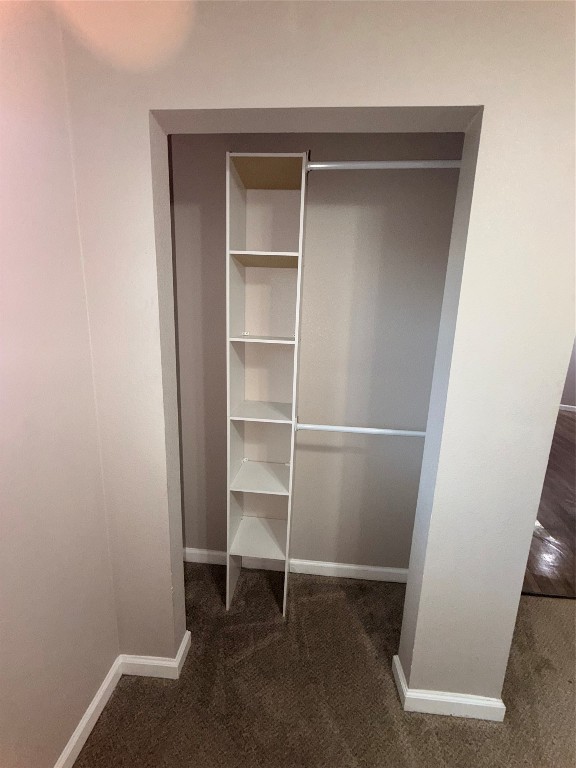 13217 Player Street, Unit B Houston, TX 77045 - Photo 15 of 22 a view of an empty walk in closet