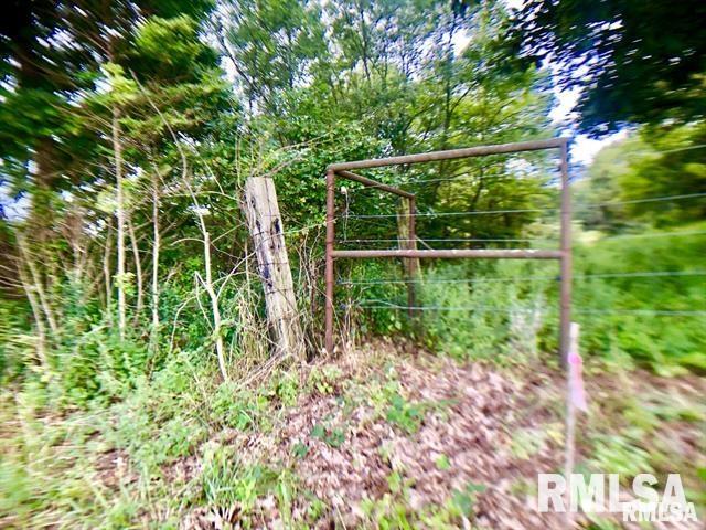 0 Fletcher Road Thompsonville, IL 62890 - Photo 5 of 7