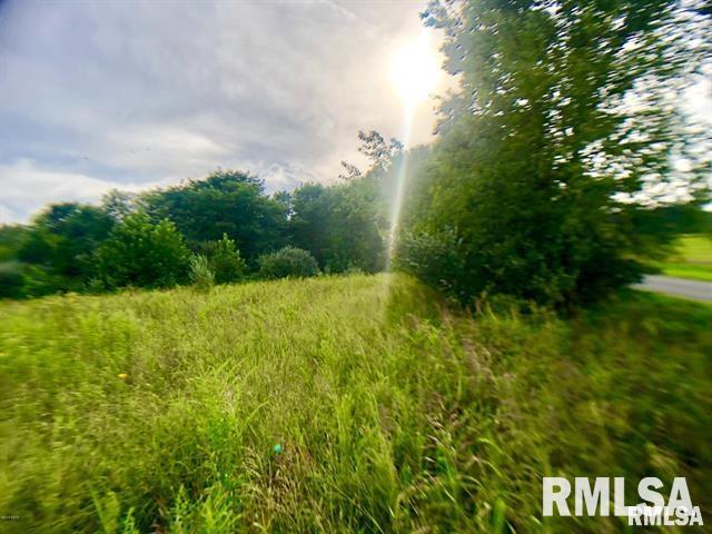 0 Fletcher Road Thompsonville, IL 62890 - Photo 6 of 7