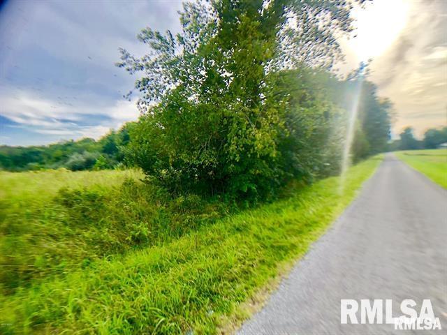 0 Fletcher Road Thompsonville, IL 62890 - Photo 7 of 7