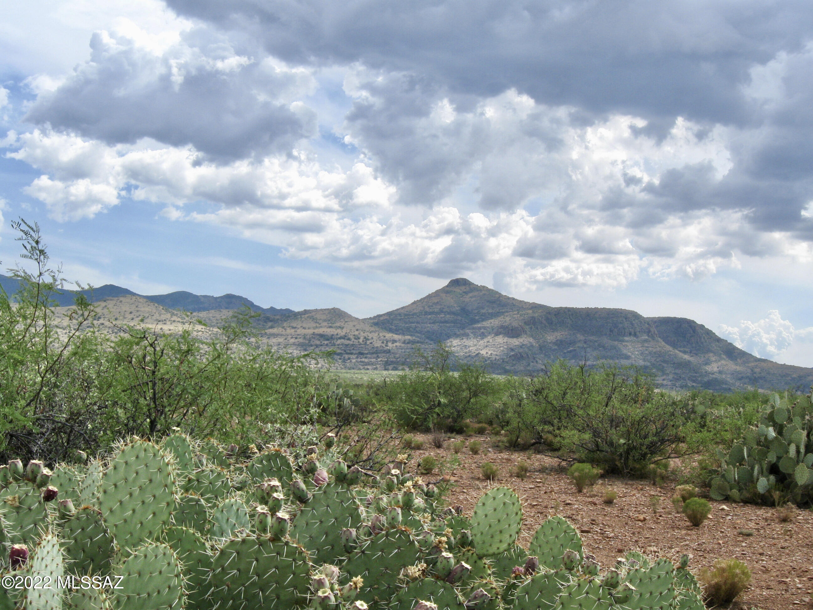 Lot 316 High Point Ranch Willcox, AZ 85643 - Photo 7 of 12 Gallery Image 7