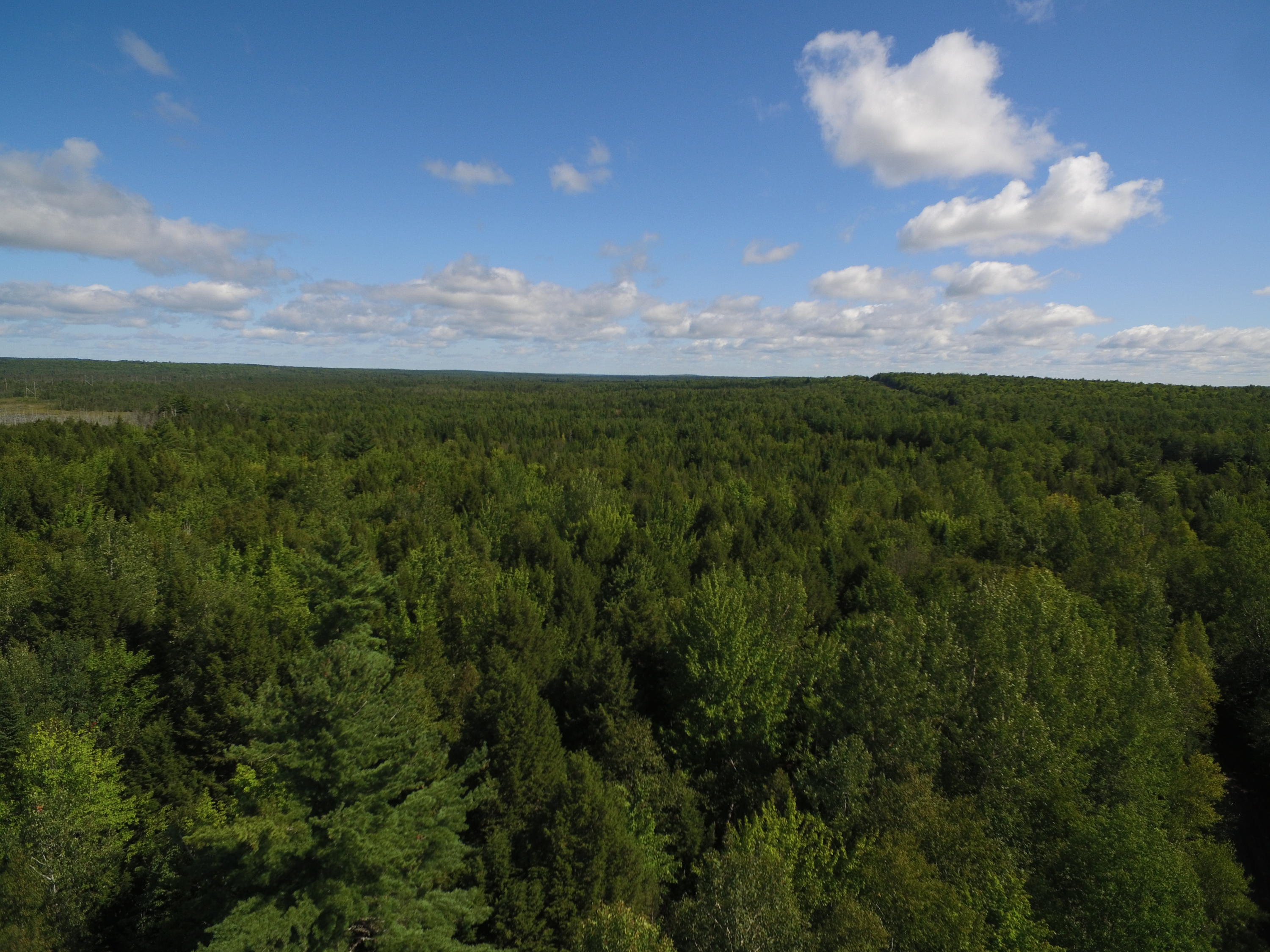 13 Map Road Lincoln, ME 04457 - Photo 3 of 6 DJI_0156